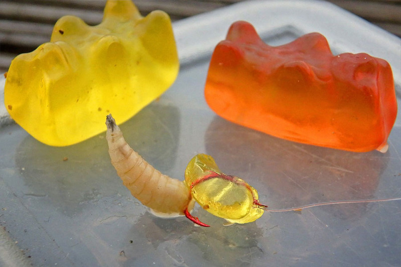 Ловля карпа на желейные конфеты. Фото2