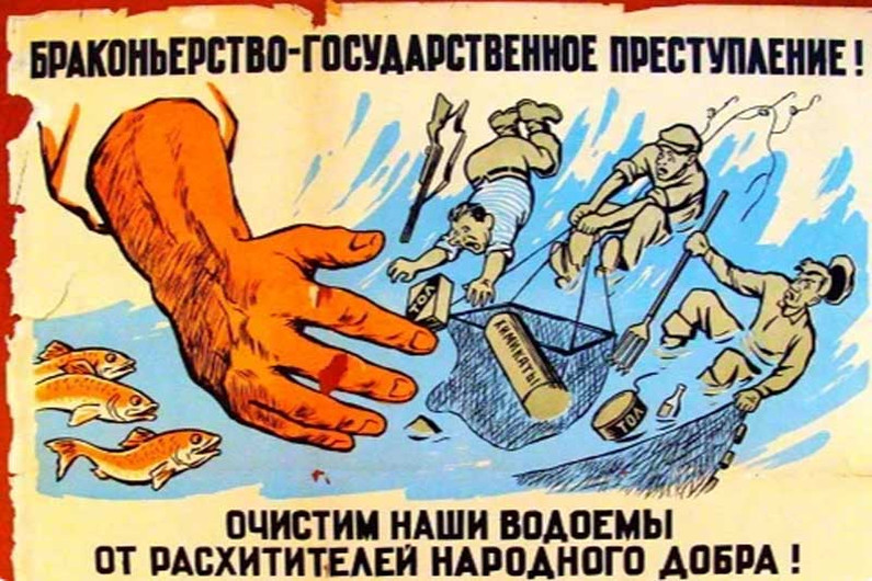 что делать если нашел сеть в водоеме. Смотреть фото что делать если нашел сеть в водоеме. Смотреть картинку что делать если нашел сеть в водоеме. Картинка про что делать если нашел сеть в водоеме. Фото что делать если нашел сеть в водоеме