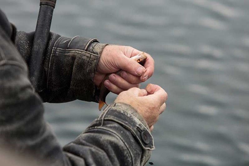 Закон о рыболовстве 2020: как не остаться без штанов после рыбалки