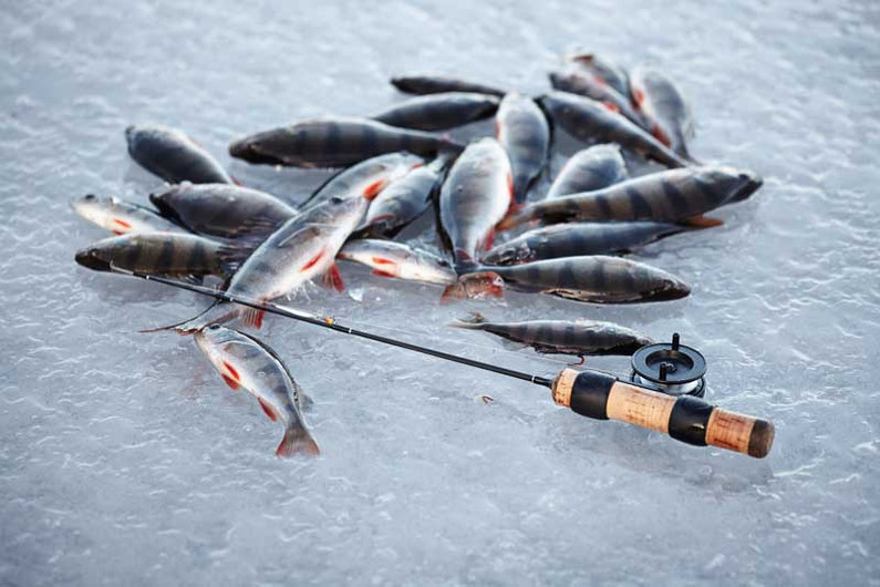 Зимняя оснастка, на которую ловится рыба даже в бесклевье