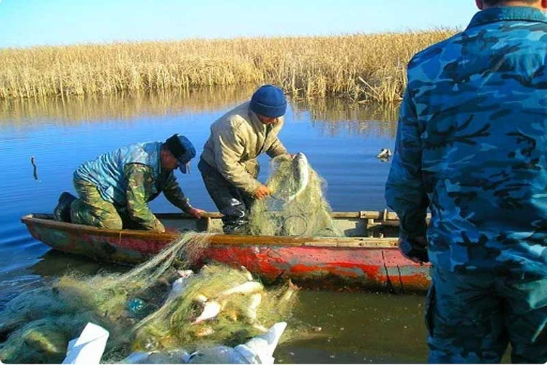 Штрафы за нелегальную рыбалку