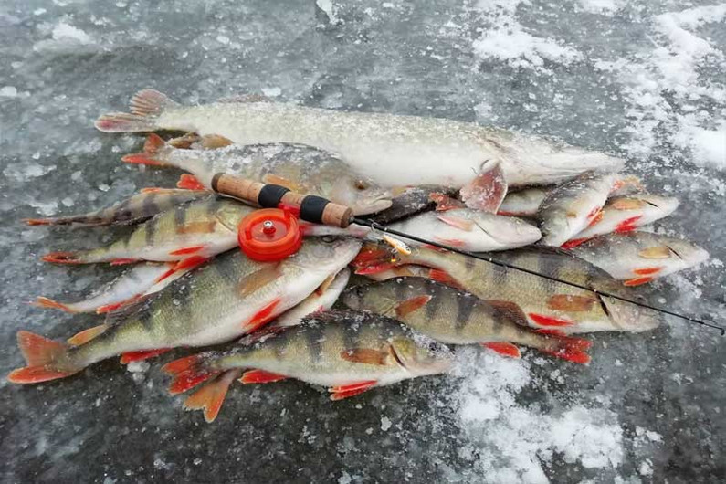 Ошибки на зимней рыбалке, от которых лучше отказаться