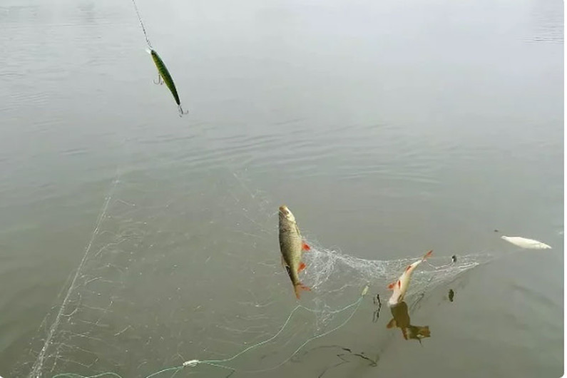 Зацепил на рыбалке блесной за сеть, что делать?