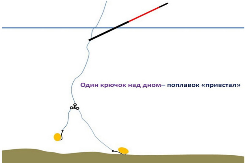 Очень чувствительная снасть на карася