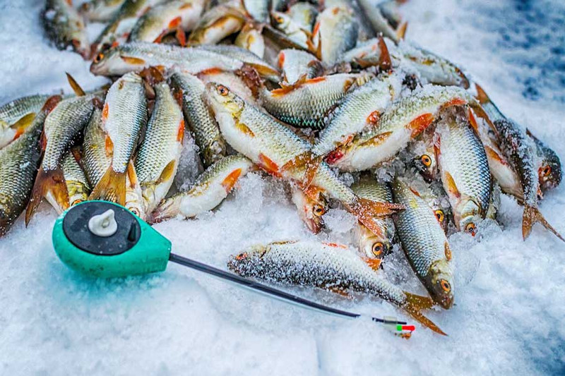 4 лучших совета для зимней рыбалки: Снасти