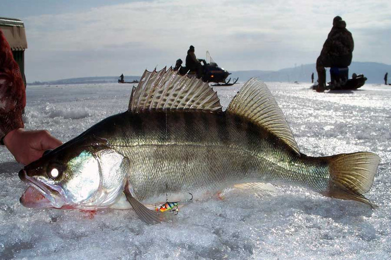 Рыболовный календарь на 2024 год