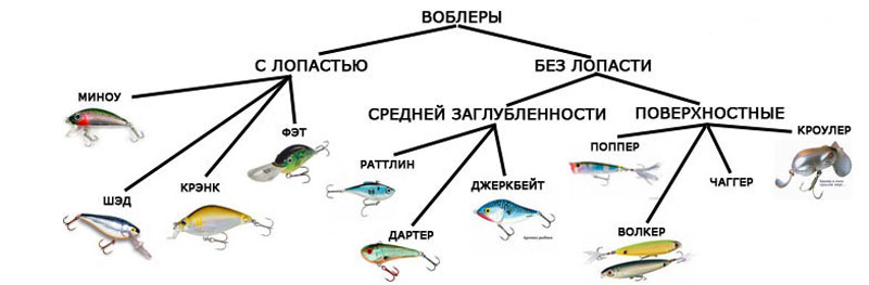 Воблеры: классификация и советы по выбору