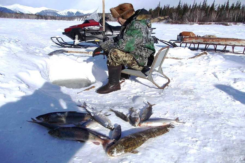 Особенности рыбалки на Байкале