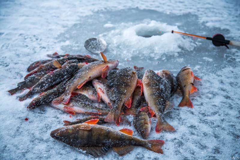 Зимние костюмы для охоты и рыбалки - тепло и надежность