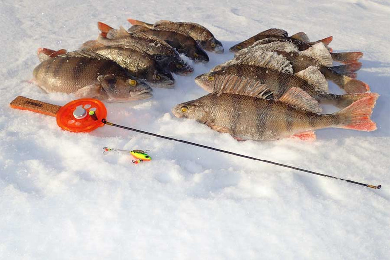 Рыбалка на Волге, Куйбышевское водохранилище. Фото 6
