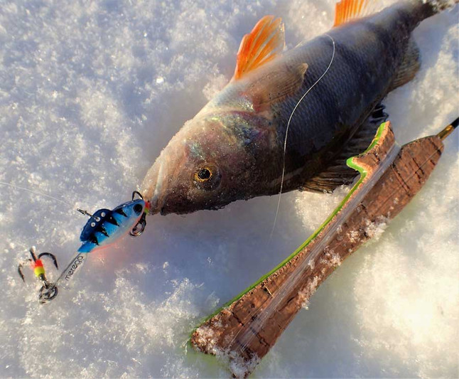 Глухозимье - просто, идеальные условия для зимней рыбалки! Фото 1