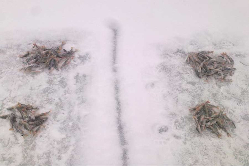 Зимняя рыбалка на одном из водоемов Подмосковья. Фото 4