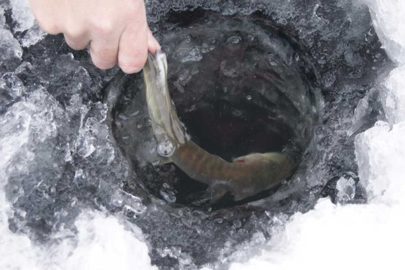 Рыбалка на Белоярском водохранилище. Фото 9