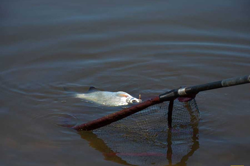 Рыбалка на берегу слияния двух рек, Волги и Свияги. Фото 5