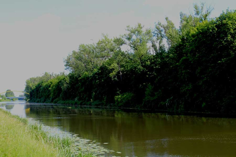 Рыбалка в Ростовской области: окуни и лещи Холодного канала