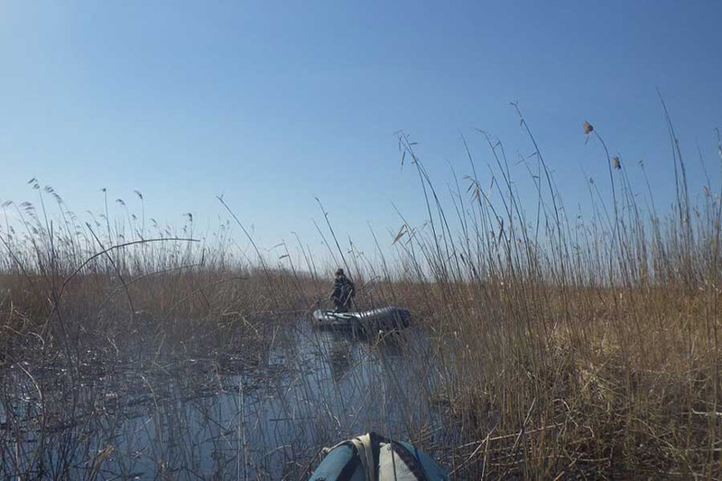 Ловля змееголова на озере Ханка. Фото 3