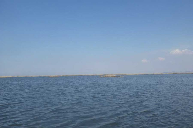 Ловля змееголова на озере Ханка. Фото 1