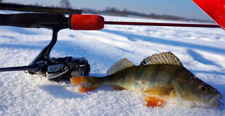 зимняя рыбалка ловля окуня на блесна