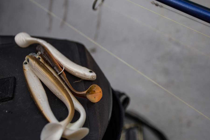 Effzett Longhorn-идеальная приманка для ловли судака и окуня. Фото 10