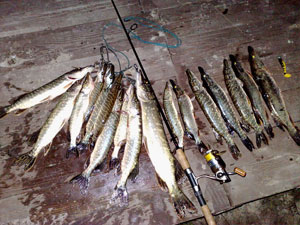  Рыбалка в низовьях Днепра