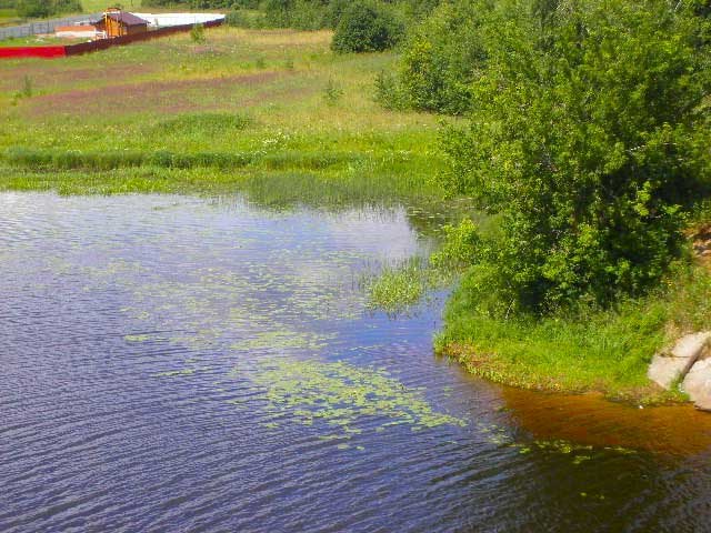 Отчет о рыбалке: река Хотча, Таломский район