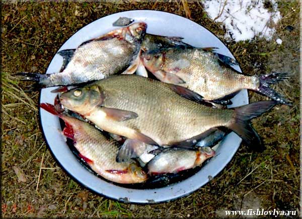 Рыбалка на Пестовском водохранилище, Московская область