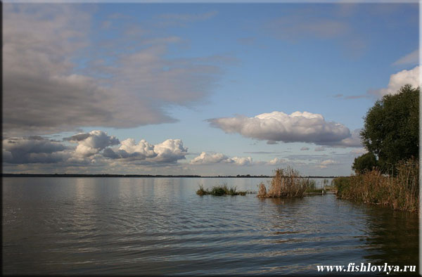 Рыбалка на озере Неро, Ярославская область