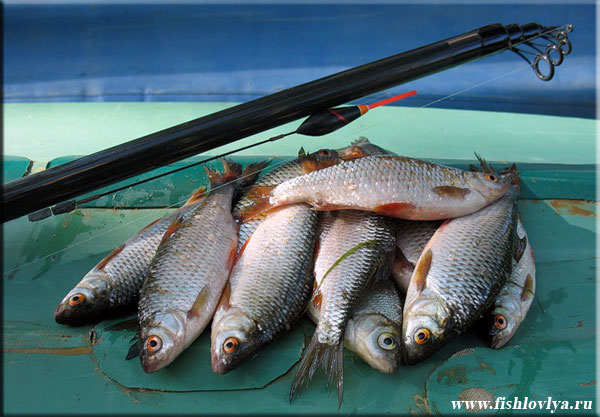 Рыбалка на озере Багаряк , Свердловская область