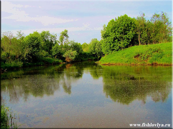 Рыбалка на реке Тёбза , Костромская область