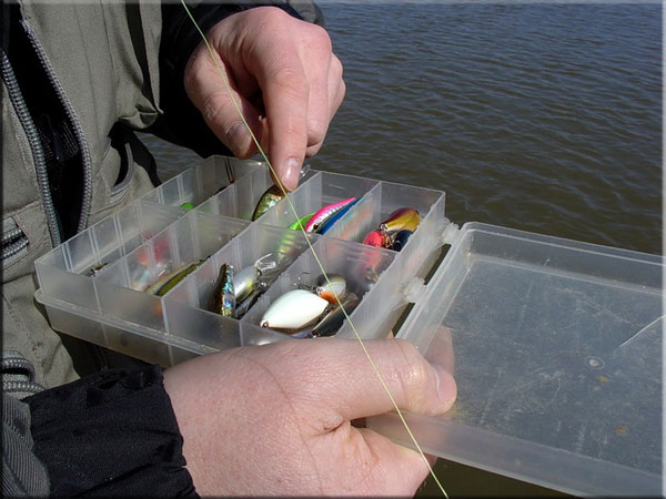 Приманки, наживки для рыбалки на реке Волга