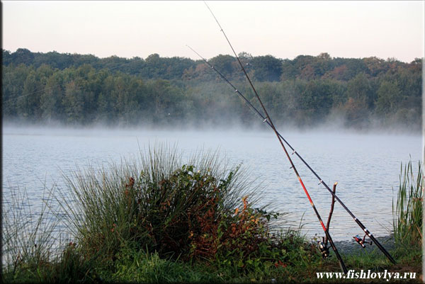 Рыбалка на Оке , Рязанская область