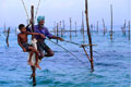 Рыбалка в Шри-Ланке