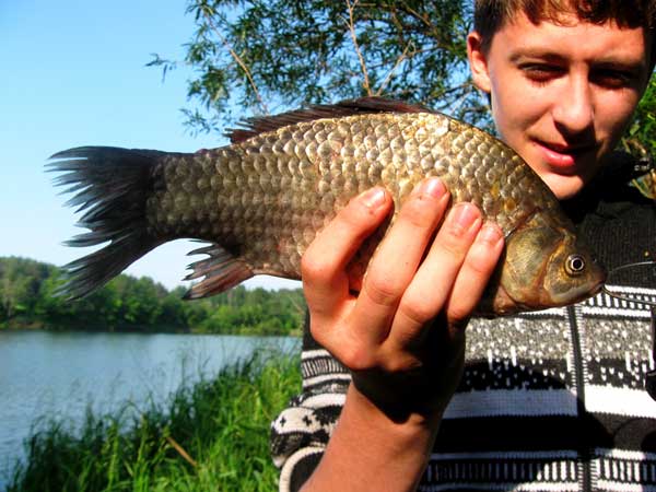 Рыбалка на река Малая Кокшага
