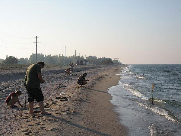 лови лето азовское море лови лето азовское море