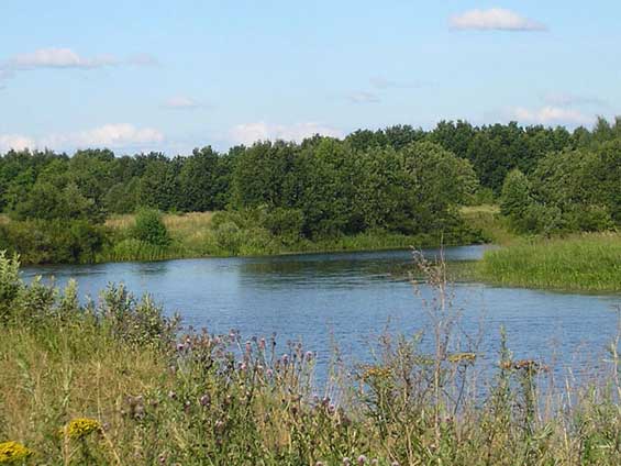 Рыбалка в Ярославской области на реке Устье