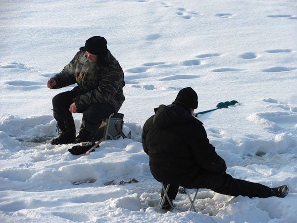 Зимняя рыбалка: насадка для ловли на мормышку - мотыль