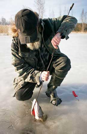 Зимняя рыбалка. Щука