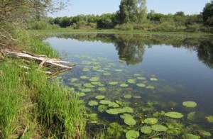 Рыбалка