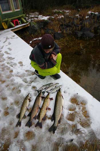 Рыбалка зимой на хищника в Южной Карелии. Фото 9