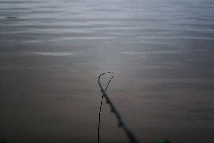 Рыбалка в Подмосковье: Рыбка клюет. Фото 3