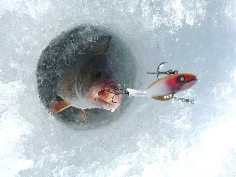 Зимняя рыбалка. Фото 1