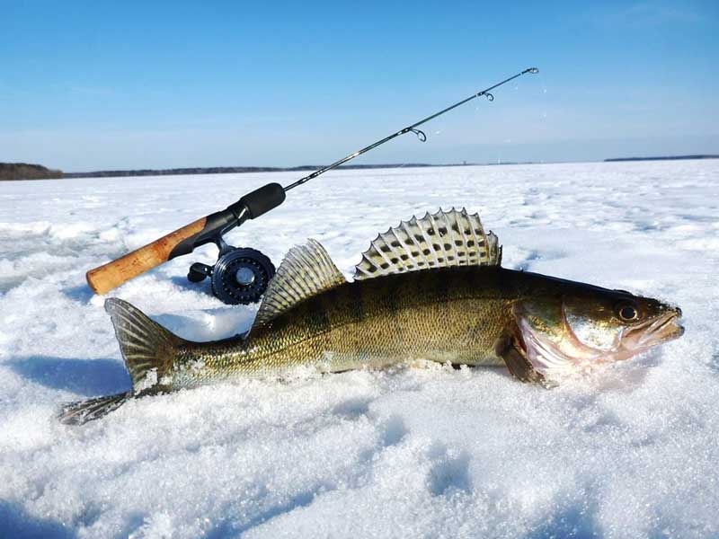 Зимняя рыбалка. Фото 3
