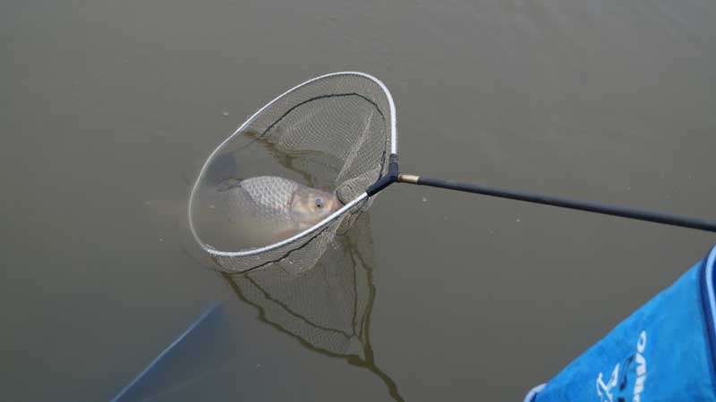 Рыбалка на реке Сейм. Фото 1