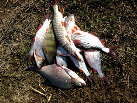 Рыбалка на реке Ярань