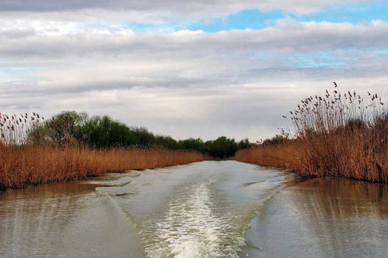 Щуки поздней осени-работали крупные воблеры. Фото 2