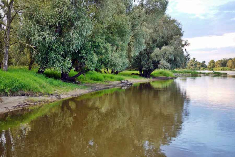 Где ловить судака