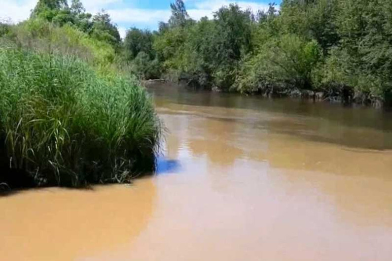 Почему не клюет карась: Рыбалка в мутной воде