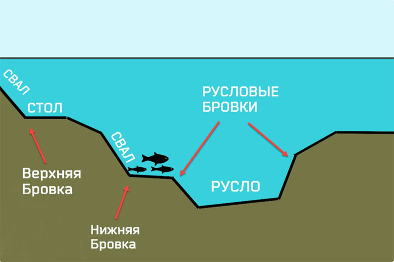 Выбор точки ловли