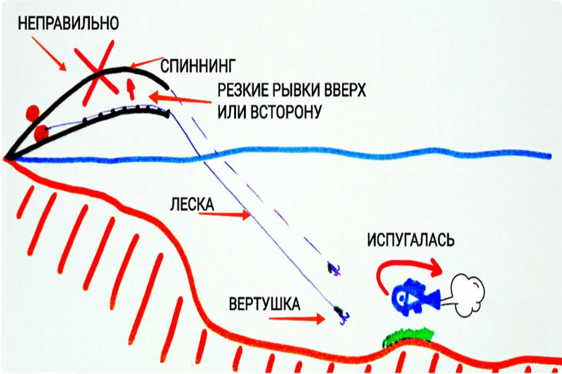 Ошибочный прием ловли щуки на вертушку