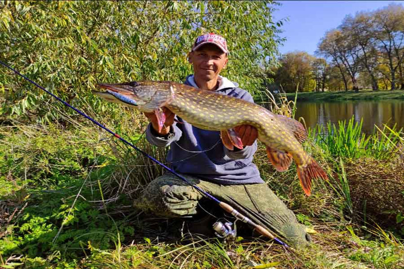 На какие воблеры клюет крупная щука. Фото 2